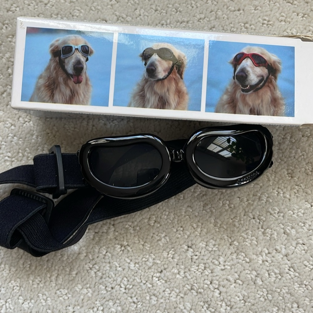 Dog googles